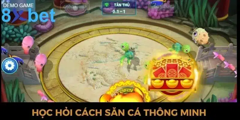 Học hỏi cách săn cá casino thông minh