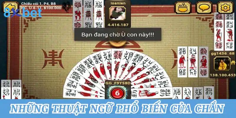 Những thuật ngữ sử dụng phổ biến của chắn 